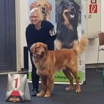 Mailo siegt auf der DogLive in Münster