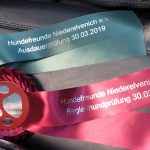 Begleithund Mailo