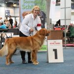Mailo siegt in Leipzig