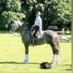Best of 10 – Homestory in der ReiterRevue