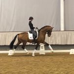 Va‘ Pensiero und Damaschino zum BundesChampionat 2022 qualifiziert